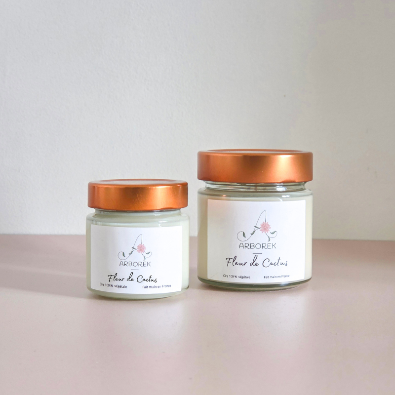 Bougie Cactus - cire végétale de soja
