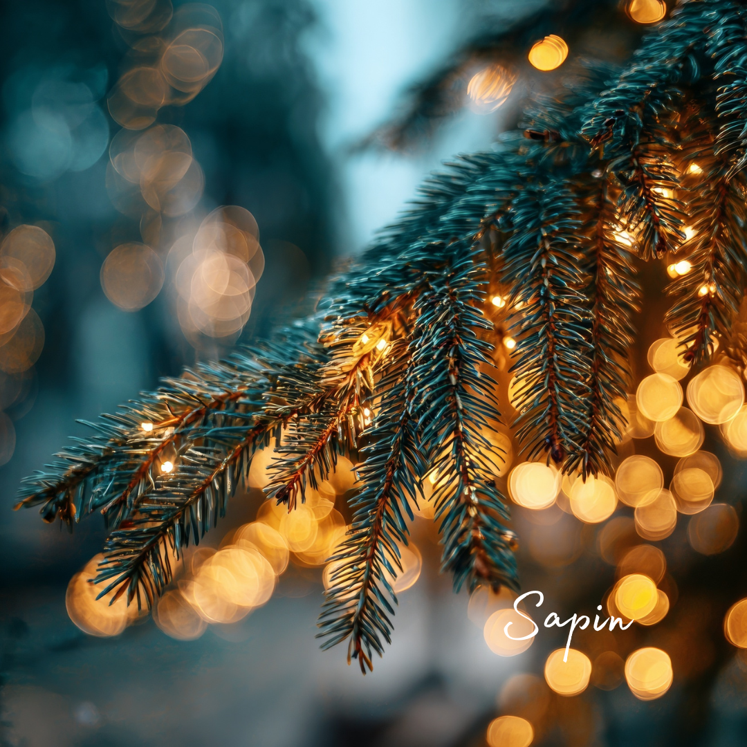 Bougie Sapin - cire végétale de soja