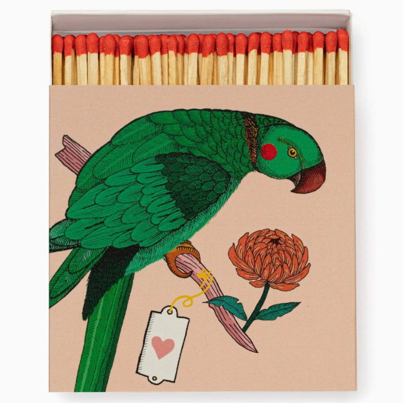 Allumettes Archivist Gallery – Ariane Perroquet